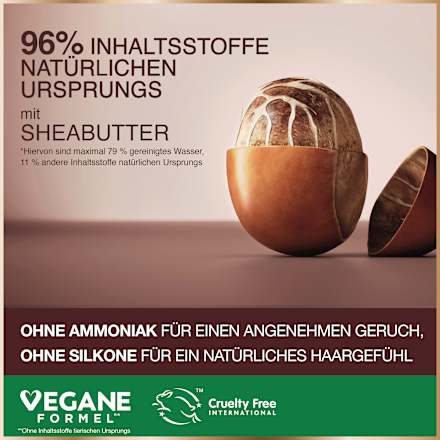 Haarfarbe 6.52 Mahagoni Rotbraun GARNIER GOOD