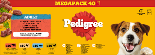 Nassfutter Hund gemischte Selektion in Gelee, Megapack (40x100 g) Pedigree