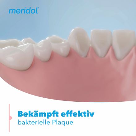 Zahnpasta Rundumpflege meridol