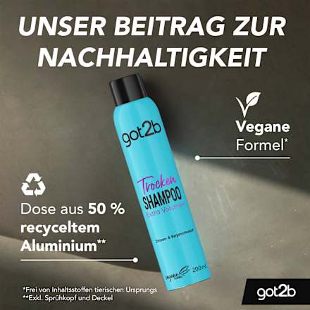 Trockenshampoo Extra Volumen got2b