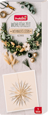 Wohlfühlzeit Weihnachts-Stern aus Papier Profissimo