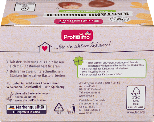 Kastanienbohrer Bastel-Set Profissimo