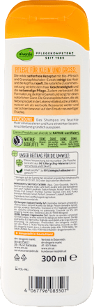 Šampon i regenerator 2u1 Family alverde NATURKOSMETIK