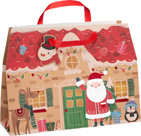 Pungă de cadou maxi, diverse modele Profissimo