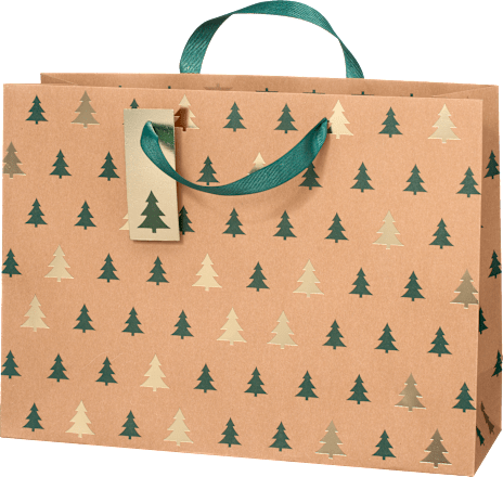 Pungă de cadou maxi, diverse modele Profissimo