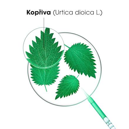 šampon na vlasy bio Kopřiva KLORANE