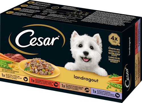 Nassfutter Hund landragout Cesar