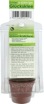 Pflanzenset 4-blättriger Glücksklee Dekorieren & Einrichten