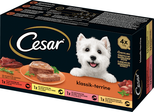 Nassfutter Hund klassik-terrine Cesar