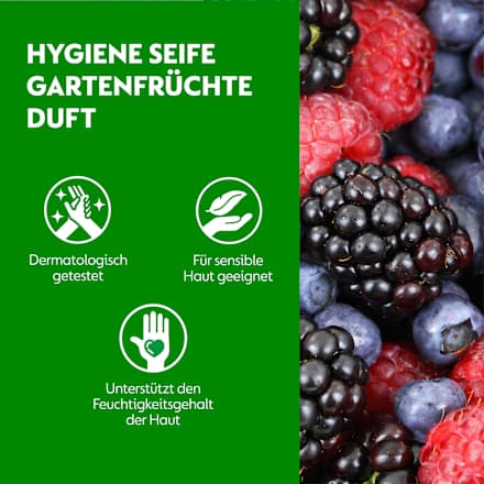 Flüssigseife No-Touch Garden Berries Nachfüllpack Dettol