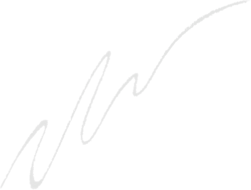 Augenbrauenstift Fill & Fluff Augenbrauenpomade Clear 09 NYX PROFESSIONAL MAKEUP