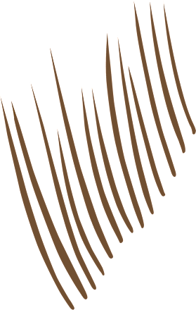 Szemöldökformázó filc, Lift N Snatch - Nr. 07 Brunette NYX PROFESSIONAL MAKEUP