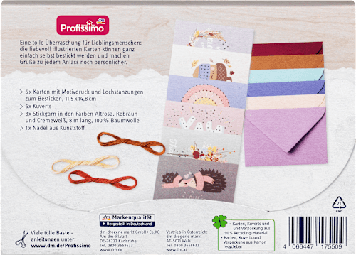 Bastelset für Stickkarten Profissimo