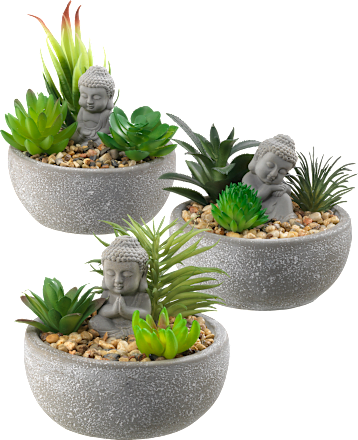 Sukkulenten & Buddha in Betonschale BOLTZE