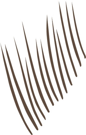 Szemöldökformázó filc, Lift N Snatch - Nr. 06 Ash Brown NYX PROFESSIONAL MAKEUP