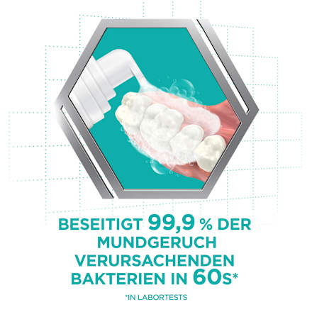 Gebissreiniger Schaum für Zahnersatz COREGA