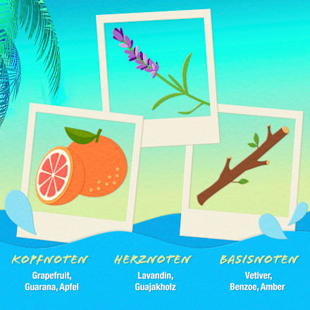 Man Limited Edition Eau de Toilette Bruno Banani