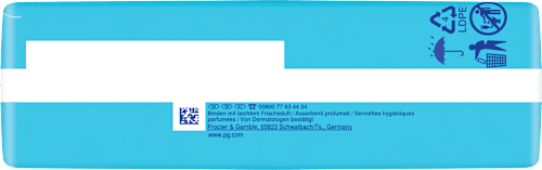 Ultra-Binden Day Long Plus 3 mit Flügeln, Big Pack always