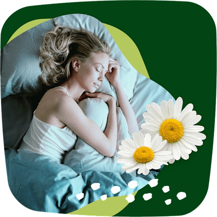 Hygienické vložky Ultra Night Plus Naturella