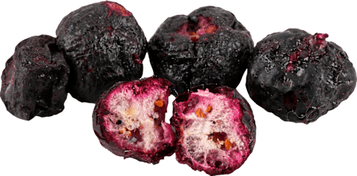 Trockenfrüchte, Wildheidelbeeren gefriergetrocknet KoRo