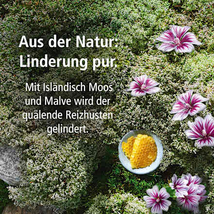 Bronchial-Husten-Sirup Klosterfrau