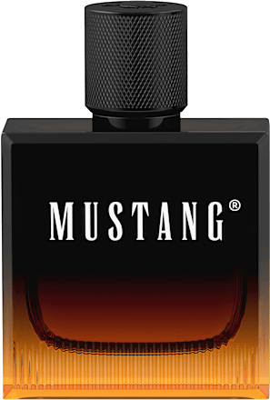 Amber Signature edt MUSTANG