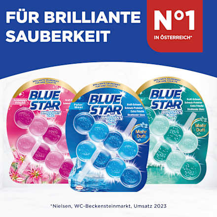 WC-Stein Brilliant Gel All In 1 Polarmeer BLUE STAR