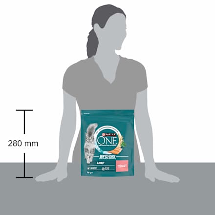 Trockenfutter Katze Bifensis Adult Reich an Lachs PURINA ONE