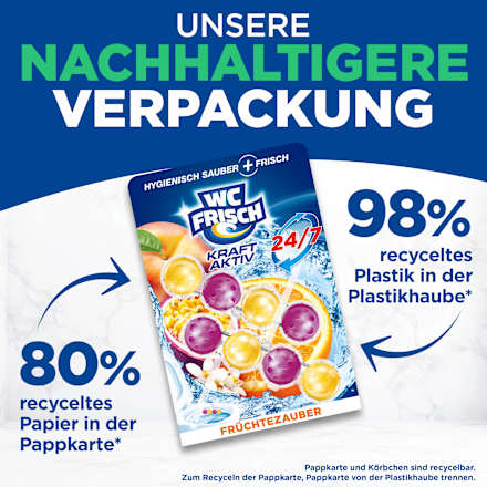 WC-Stein Kraft Aktiv Früchtezauber WC-Frisch