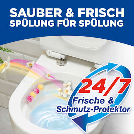 WC-Stein Kraft Aktiv Früchtezauber WC-Frisch