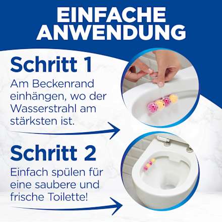 WC-Stein Kraft Aktiv Früchtezauber WC-Frisch