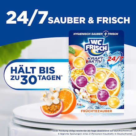 WC-Stein Kraft Aktiv Früchtezauber WC-Frisch