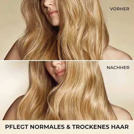 Shampoo Moisture Boost Active Nutri-Plex  PANTENE PRO-V