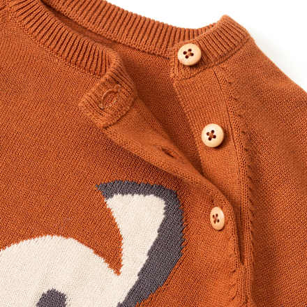 Pullover aus Strick mit Fuchs-Motiv, braun, Gr. 86 ALANA