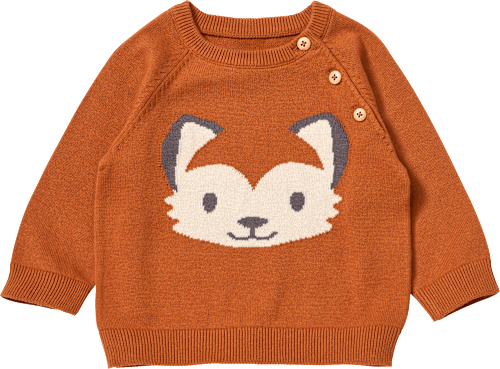 Pullover aus Strick mit Fuchs-Motiv, braun, Gr. 86 ALANA