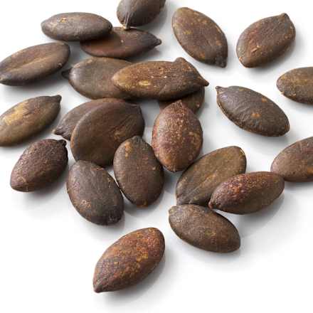 Začinjene suvopečene semenke bundeve u tamari sosu dmBio