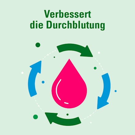 AbZ Pharma Ginkgo AbZ 120 mg Filmtabletten AbZ Pharma