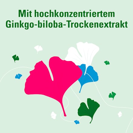 AbZ Pharma Ginkgo AbZ 120 mg Filmtabletten AbZ Pharma
