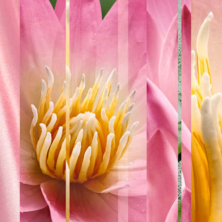 Odświeżacz powietrza w aerozolu automatycznym  - RELAXING ZEN - urządzenie glade