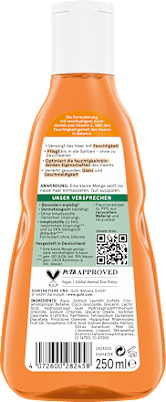 Shampoo Feuchtigkeitsaufbau GUHL