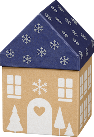 dárková krabička ve tvaru domečky Profissimo