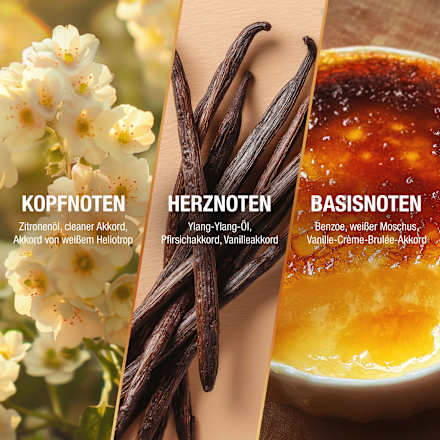 Vanilla Muse Eau de Parfum bruno banani