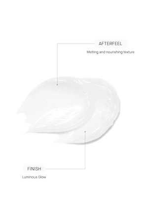 Lippenpflege overnight restoring Transparent Lab