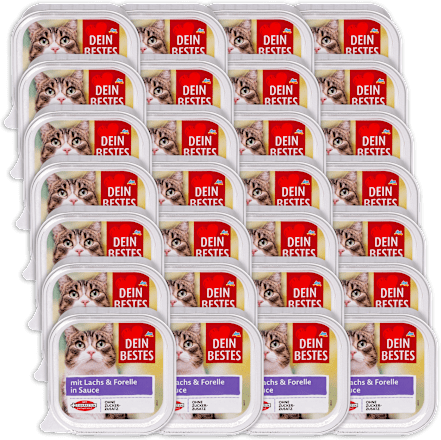 Potpuna hrana za mačke – losos i pastrva u umaku, 28 x 100 g DEIN BESTES