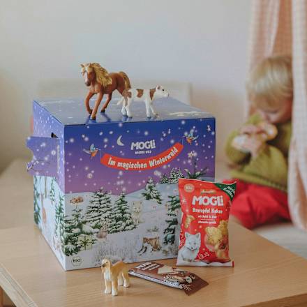 Adventkalender für Kinder Wachse Wild MOGLi