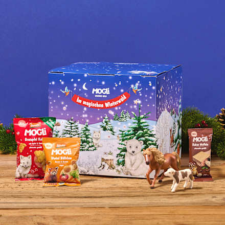 Adventkalender für Kinder Wachse Wild MOGLi
