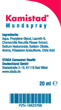 Kamistad Mundspray Kamistad