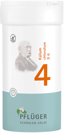 BIOCHEMIE PFLÜGER Nr. 4 Kalium chloratum D 6 Biochemie Pflüger