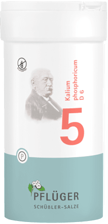 BIOCHEMIE PFLÜGER Nr. 5 Kalium phosphoricum D 6 Biochemie Pflüger