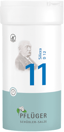 BIOCHEMIE PFLÜGER Nr. 11 Silicea D 12 Biochemie Pflüger